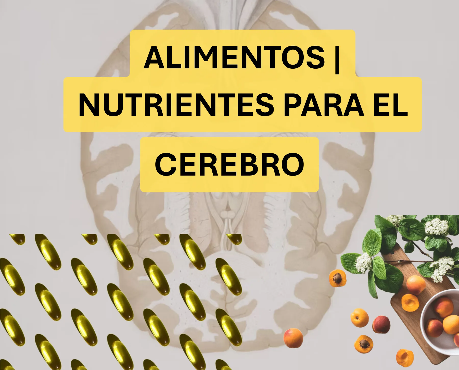 Alimentos para el cerebro: Nutrientes esenciales para potenciar salud, memoria y concentración