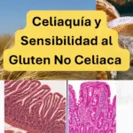 Dieta sin gluten para celíacos: guía completa para organizar tu alimentación y evitar riesgos.