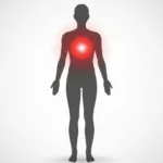 Guía Completa de Alimentos Antiinflamatorios