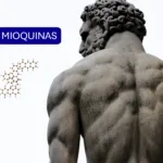 Entendiendo las Mioquinas: Las Hormonas Musculares Que Transforman Tu Salud