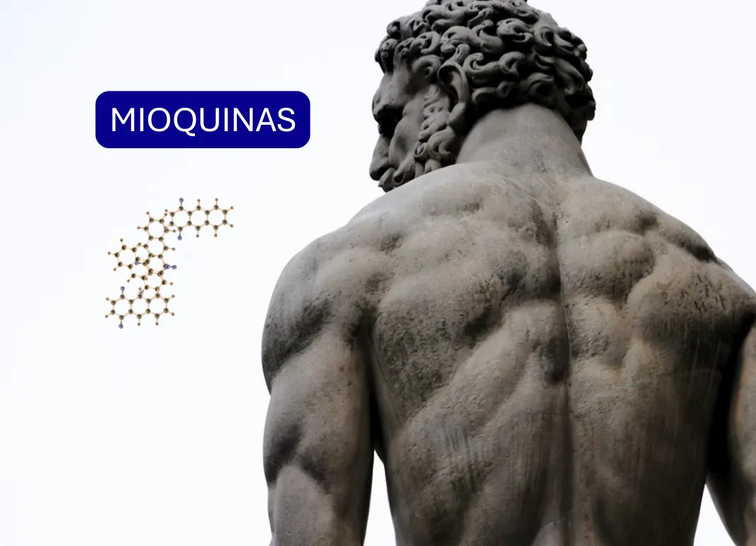 Entendiendo las Mioquinas: Las Hormonas Musculares Que Transforman Tu Salud