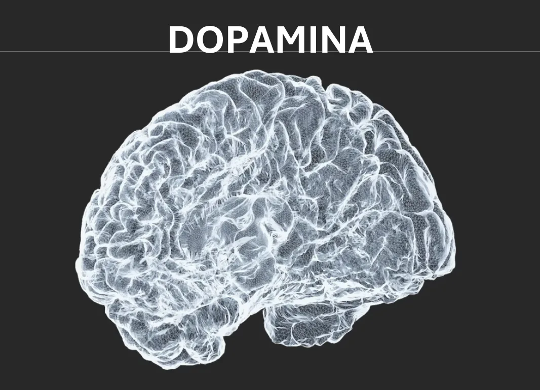 Dopamina: Qué es, cómo funciona y su impacto en la motivación, el bienestar y la adicción