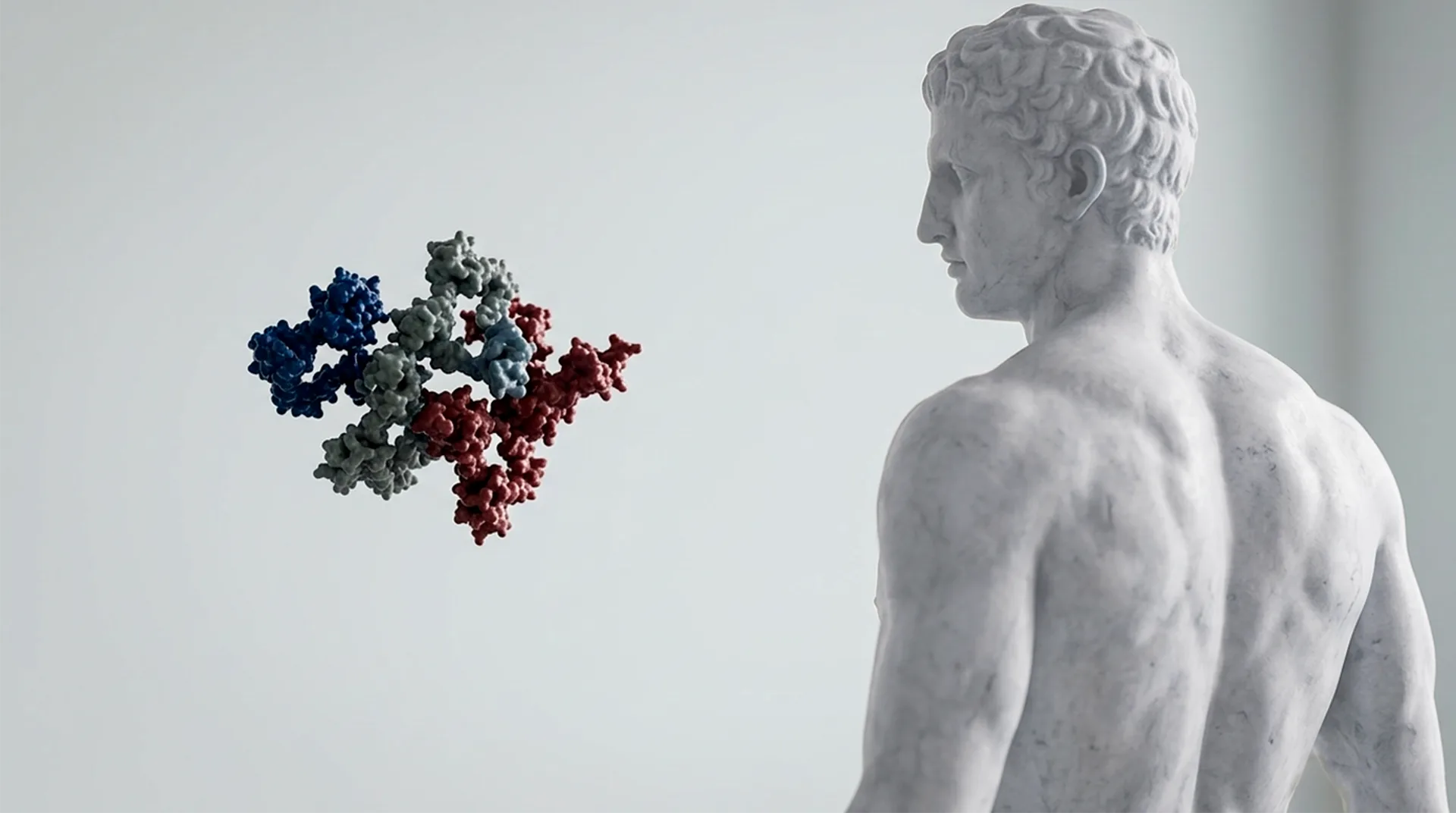 Entendiendo las Mioquinas: Las Hormonas Musculares Que Transforman Tu Salud